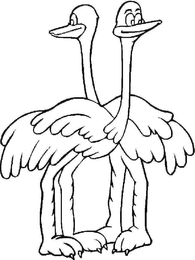 Download Ostrich coloring pages. Download and print Ostrich ...