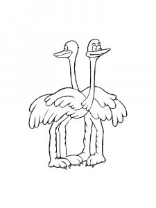 Ostrich Birds Coloring Pages 22