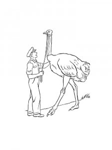 Ostrich Birds Coloring Pages 28