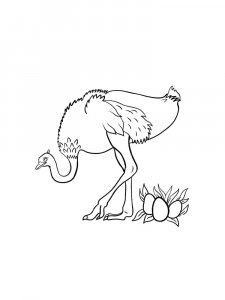 Ostrich Birds Coloring Pages 31