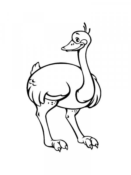 Ostrich coloring pages