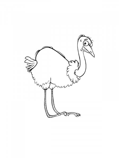 Ostrich coloring pages