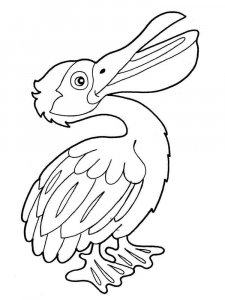 Pelican coloring page - picture 10