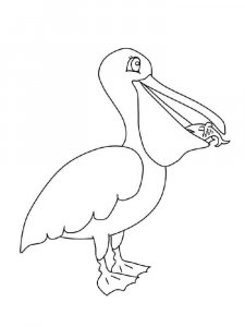 Pelican coloring page - picture 6