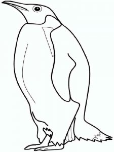 Penguin coloring page 1 - Free printable