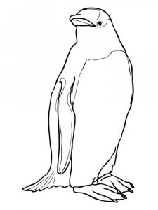 Penguin coloring page 10 - Free printable