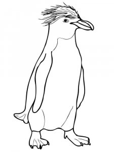 Penguin coloring page 11 - Free printable
