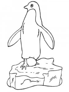 Penguin coloring page 13 - Free printable