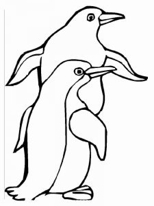 Penguin coloring page 15 - Free printable