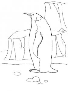 Penguin coloring page 3 - Free printable
