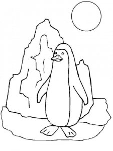 Penguin coloring page 4 - Free printable