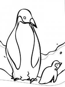 Penguin coloring page 8 - Free printable