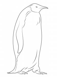 Penguin coloring page 29 - Free printable