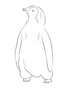 Penguin coloring page 23 - Free printable