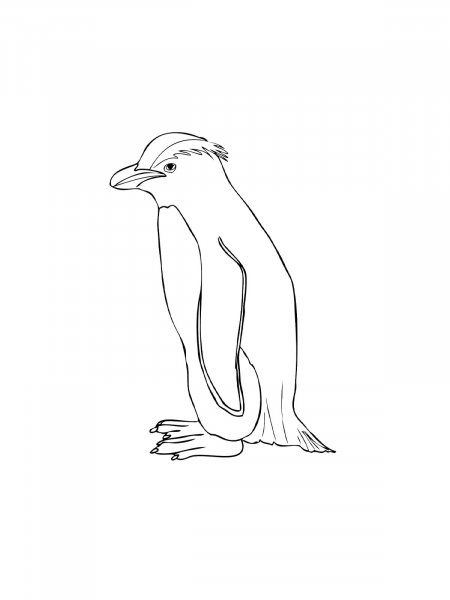 Penguins coloring pages