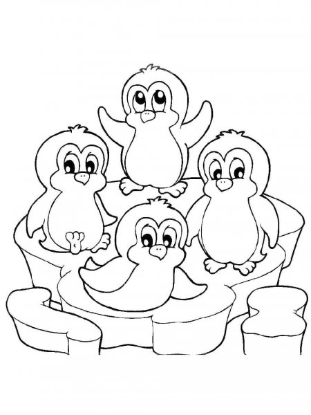 Penguins coloring pages