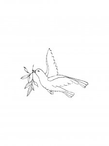 Pigeon Coloring Pages 13