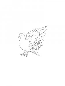 Pigeon Coloring Pages 15