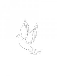 Pigeon Coloring Pages 2