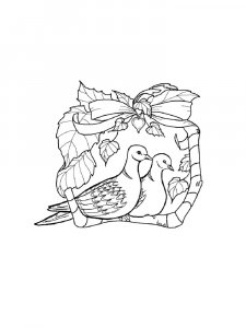 Pigeon Coloring Pages 5