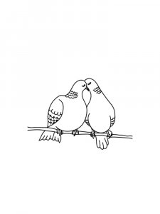 Pigeon Coloring Pages 7