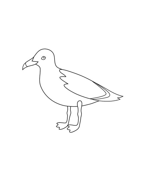 Seagull coloring pages