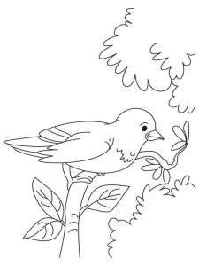 Sparrow coloring page 3 - Free printable