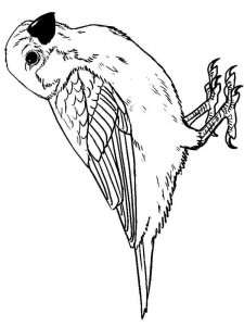 Sparrow coloring page 6 - Free printable