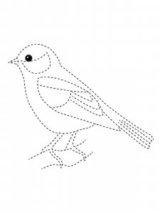 Sparrow coloring page 17 - Free printable