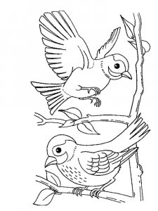 Sparrow coloring page 20 - Free printable
