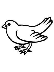 Sparrow coloring page 21 - Free printable