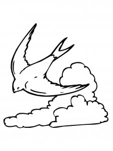 Swallow coloring page 27 - Free printable