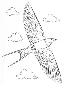 Swallow coloring page 2 - Free printable
