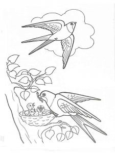 Swallow coloring page 5 - Free printable