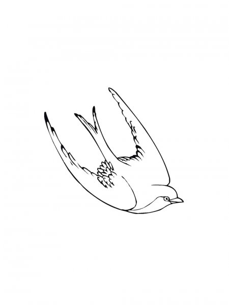 Swallow coloring pages