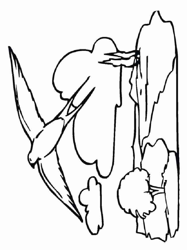 Swallow coloring pages. Download and print Swallow coloring pages