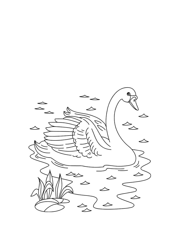 Download Swan coloring pages. Download and print Swan coloring pages