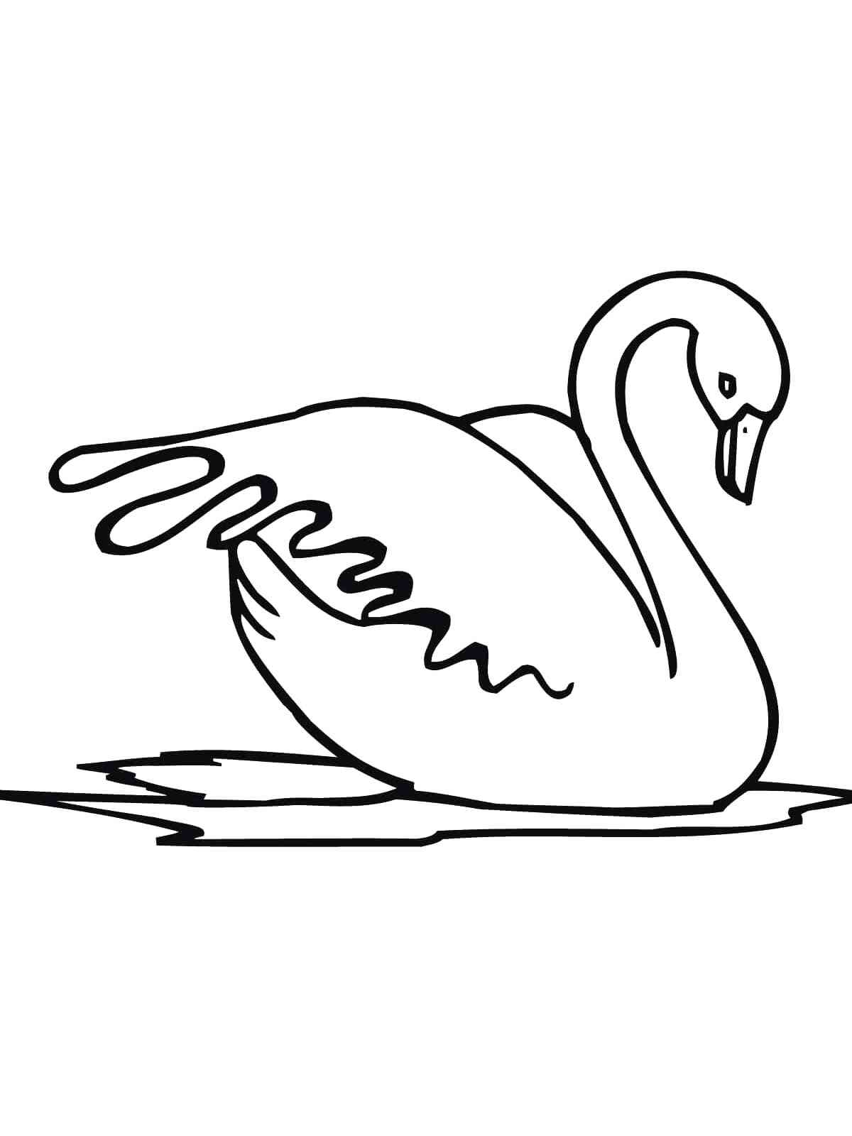Swan coloring pages. Download and print Swan coloring pages