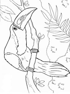 Toucan coloring page 34 - Free printable