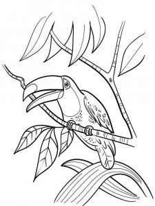 Toucan coloring page 37 - Free printable