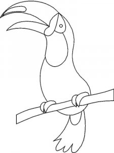 Toucan coloring page 28 - Free printable