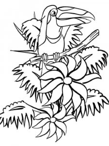 Toucan coloring page 29 - Free printable