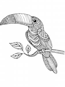 Toucan coloring page 1 - Free printable