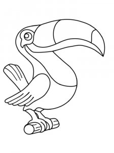 Toucan coloring page 10 - Free printable