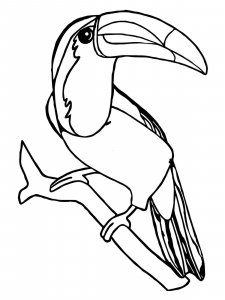 Toucan coloring page 11 - Free printable