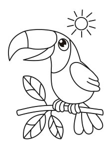 Toucan coloring page 12 - Free printable
