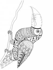 Toucan coloring page 14 - Free printable