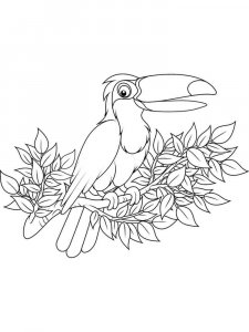 Toucan coloring page 15 - Free printable