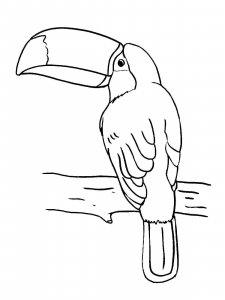 Toucan coloring page 17 - Free printable