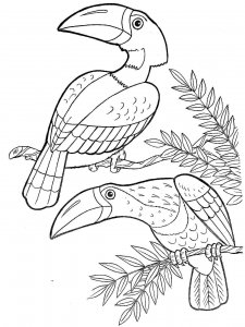 Toucan coloring page 22 - Free printable